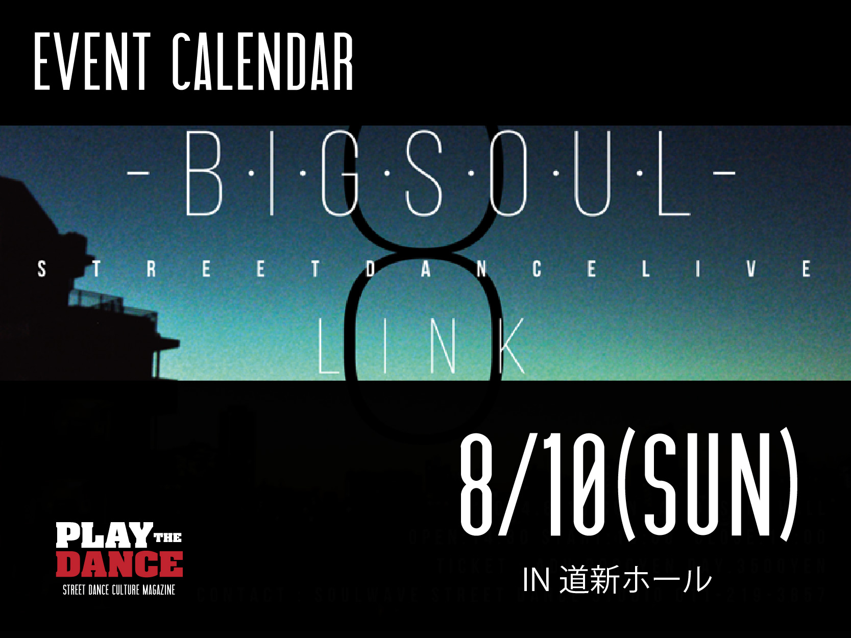 BIG SOUL vol.8-LINK-
